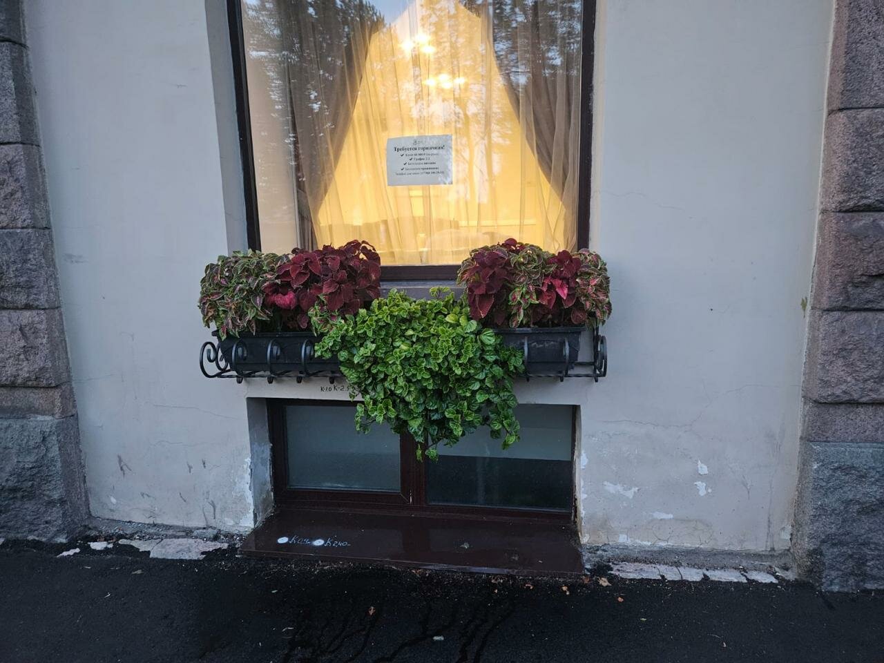 Гостиница Бристоль Санкт-Петербург-237